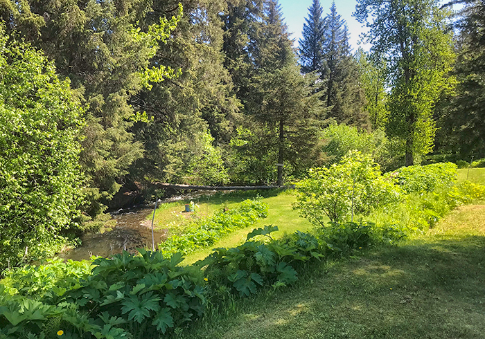 Camp Creekside, rv camping, tent camping, camprates, alaska, camping alaska, campsite, campground